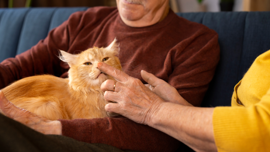 Акция в честь дня победы!