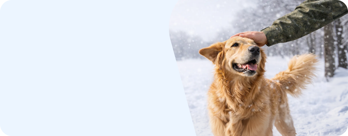 С Днем защиткника Отечества