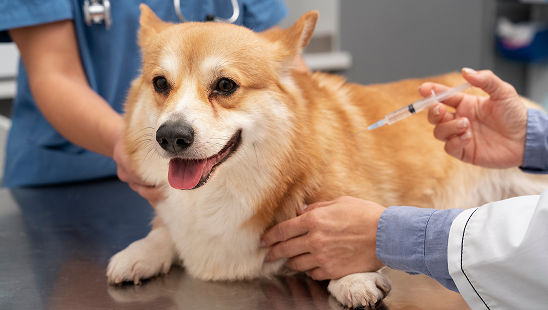 вакцинация