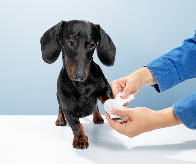 Травматология и ортопедия